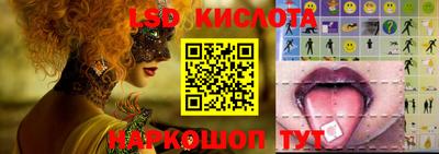 гашик Донецк