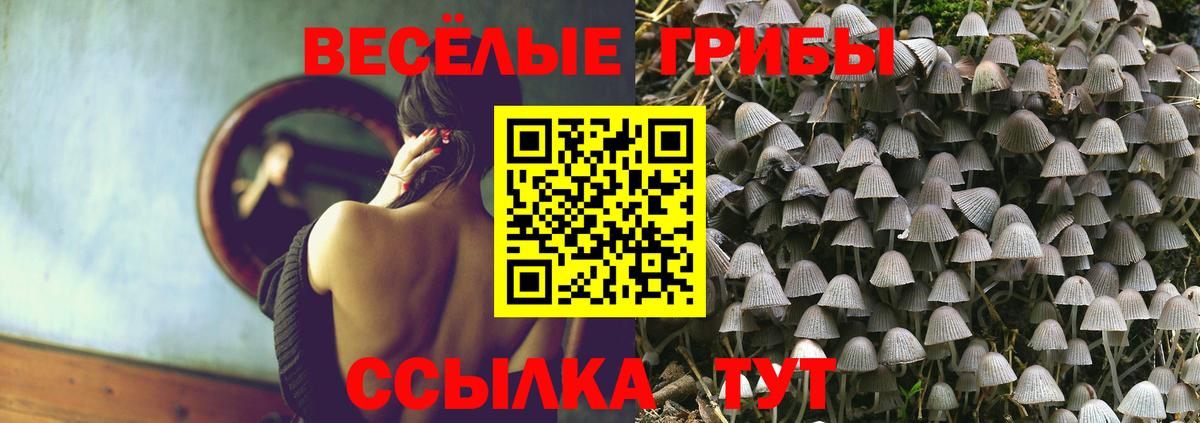 Истра  Галлюциногенные грибы мицелий  Вход с VPN 